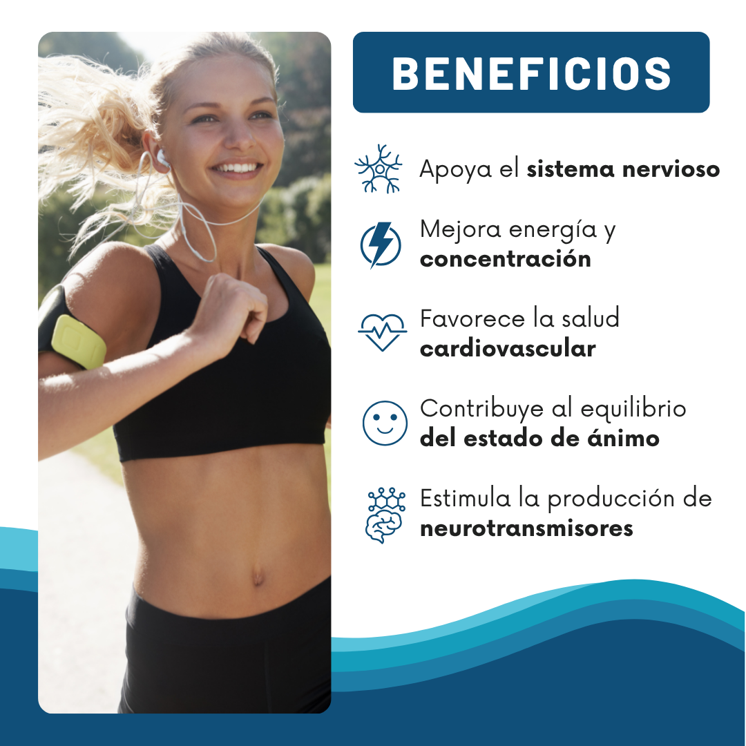 🌟 Metilfolato 5MTHF + B12 – Energía Natural y Mente Clara, sin químicos👩🔬🚫