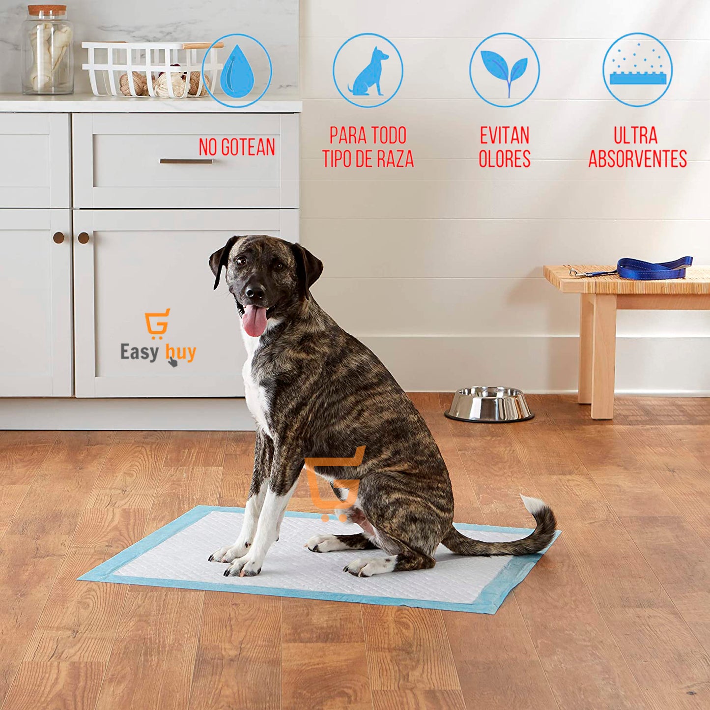 Tapete reutilizables Para Cachorro Inoloro Grande