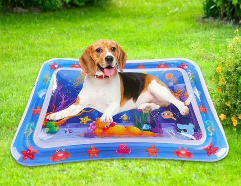 PETCOOL MAT: 🐾 Dile Adiós al Estrés y la Ansiedad con el Tapete de Agua Sensorial