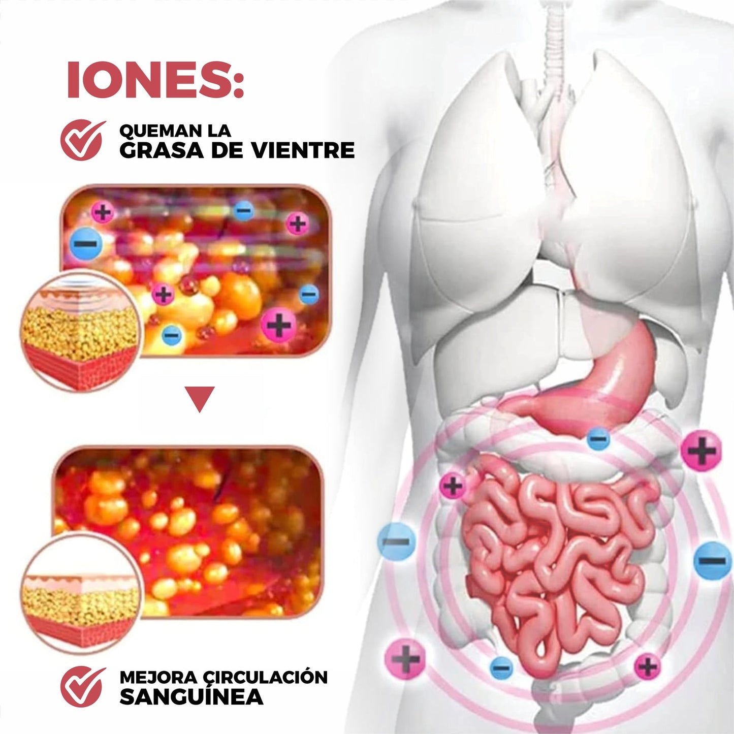 FAJA IONES - Moldea tu Figura con Comodidad y Tecnología Avanzada 🌟¡PAGA 1️⃣ LLEVA 2️⃣ SOLO HOY!🕑